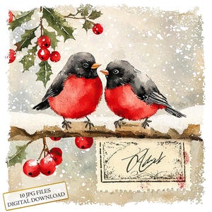 Postal navideña con imágenes prediseñadas de aves invernales: 10 archivos JPG de acuarela de alta calidad. Ideal para fiestas, diarios, álbumes de recortes y descargas digitales.