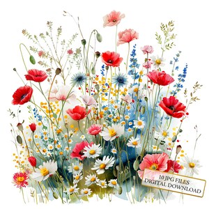 Pacote de clipart de papoulas entre flores silvestres - 10 JPGs de aquarela de alta qualidade - Arte de prado, diário, material para scrapbook, download digital