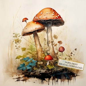 Paddestoelen op oud papier clipartbundel-10 hoge kwaliteit aquarel jpgs-crafting, journaling, scrapbook levering, digitale download