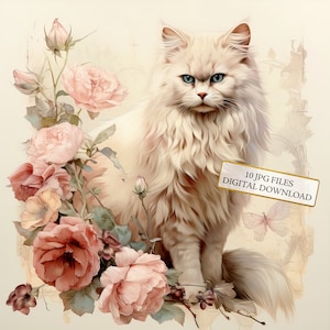 Shabby Chic Katze mit Blumen Clipart Bundle - 10 hochwertige Aquarell JPGs - Handwerk, Journaling, Scrapbook Versorgung, digitaler Download