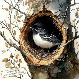 Petit oiseau noir et blanc dans un nid d'arbres Clipart Bundle - 10 fichiers JPG aquarelles de haute qualité - créations artisanales, journalisation, scrapbooking, téléchargement numérique