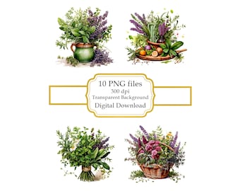 Arrangement d'herbes de cuisine PNG Clipart Bundle - Téléchargement numérique