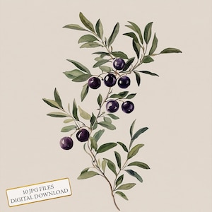 Huckleberry Branch JPG Clipart Bundle- Digital Download