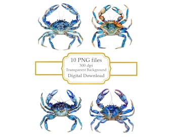 Pacchetto di clipart PNG di granchio blu - Download digitale