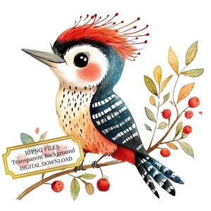 Adorable pájaro carpintero: 10 imágenes PNG de acuarela de alta calidad. Manualidades para guarderías, diarios, álbumes de recortes y descargas digitales.