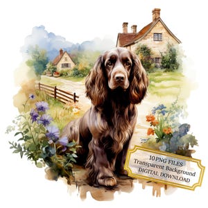 Englischer Cocker Spaniel in einer Landschafts-Landschafts-Clipart-Bundle - 10 hochwertige Aquarell PNGs - Journaling, Scrapbooking, digitaler Download