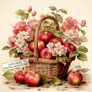 Shabby Chic Basket of Apples Clipart Bundle - 10 JPG ad acquerello di alta qualità - Arte da cucina, diario, scrapbooking, download digitale