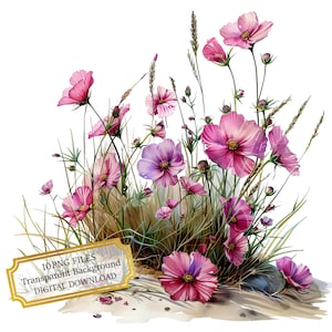 Wildflowers Growing on the Sandy Beach PNG Clipart Bundle- Digital Download
