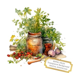 Pacote de clipart de ervas para cozinha - 10 PNGs de aquarela de alta qualidade - Arte culinária, diário, álbum de recortes, download digital