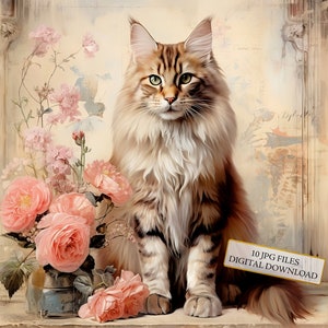 Chat Maine Coon Shabby Chic avec fleurs Clipart Bundle - 10 fichiers JPG aquarelles de haute qualité - créations artisanales, journalisation, scrapbooking, téléchargement numérique