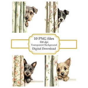 Adorable Puppy Peeking from Floral Curtain PNG Clipart Bundle- Digital Download