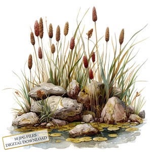 Bundle de cliparts parmi les rochers - 10 JPG aquarelles de haute qualité - Art de la nature, journalisation, fourniture de scrapbooking, téléchargement numérique