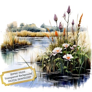 Wetland natuur landschap clipart bundel-10 hoge kwaliteit aquarel png's-crafting, junk journaling, scrapbook, digitale download