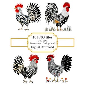 Hahn PNG Clipart Bundle-Digital Download