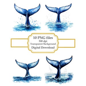Pacchetto di clipart PNG con coda di balena sollevata sopra l'oceano - Download digitale