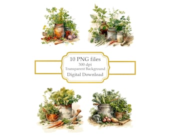 Herbes de cuisine PNG Clipart Bundle - Téléchargement numérique