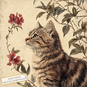 Vintage kat met botanische bloemen leeftijd papier clipart bundel-10 hoge kwaliteit aquarel jpgs-journaling, scrapbooking, digitale download