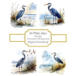 Blue Heron on the Beach PNG Clipart Bundle- Digital Download
