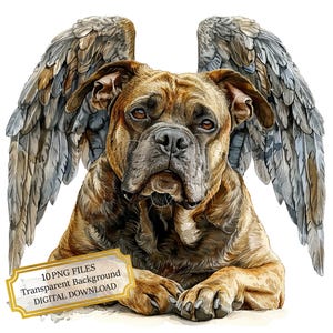 Pacchetto di clipart PNG con cane con ali d&#39;angelo - Download digitale
