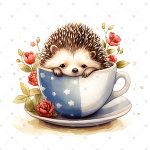 Cute Hedgehog in a Teacup Clipart Bundle- 10 High Quality Watercolor ...