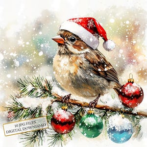Paquete de imágenes prediseñadas de gorrión navideño en rama: 10 imágenes en acuarela de alta calidad (JPG) para vacaciones de invierno, diario, scrapbooking y descarga digital.
