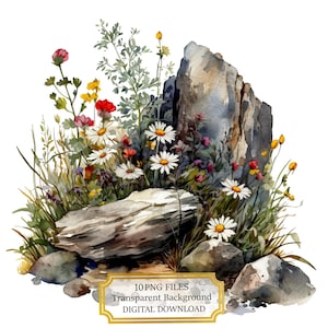 Paquete de imágenes prediseñadas de flores silvestres que crecen en las rocas: 10 PNG de acuarela de alta calidad. Arte de pradera, diario, material para álbumes de recortes, descarga digital.