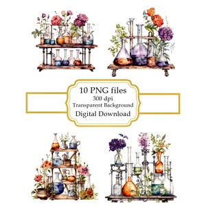 花が描かれた化学ガラス製品 PNG クリップアート バンドル - デジタルダウンロード