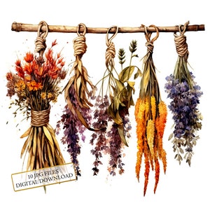 Pacote de clipart de flores e ervas secas - 10 JPGs de aquarela de alta qualidade - Diário, material para scrapbook, download digital