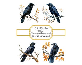 Paquete de imágenes prediseñadas de cuervo posado en una rama de otoño (descarga digital)