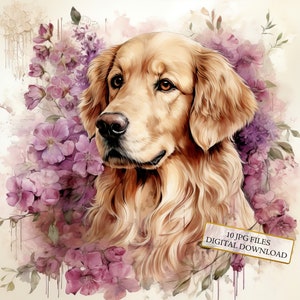 Shabby chic golden retriever met bloemen clipartbundel-10 hoge kwaliteit aquarel jpg's-huisdier, journaling, plakboek, digitale download