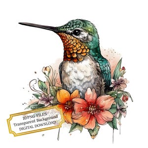 Hummingbird with Flowers Clipart Bundle- 10 High Quality Watercolor PNGs- Crafting, Junk Journaling, Scrapbook, Digital Download