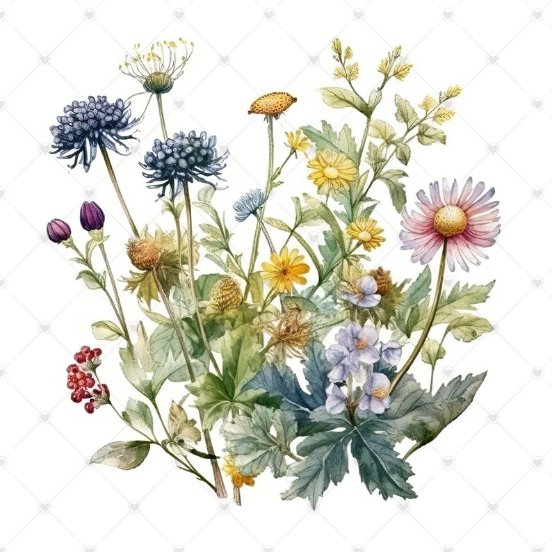 Wildflowers Clipart Bundle 10 High Quality Watercolor Jpgs Etsy