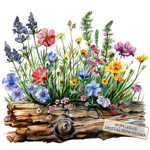 Pacote de clipart de flores silvestres em um tronco - 10 JPGs de aquarela de alta qualidade - Floresta, artesanato, diário, material para scrapbook, download digital