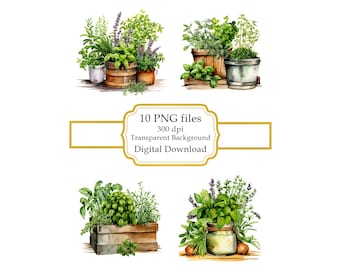 Herbes de cuisine dans des récipients PNG Clipart Bundle - téléchargement numérique