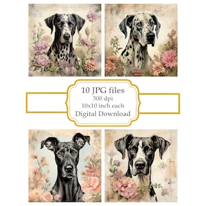 Shabby Chic Dane Dog with Flowers JPG Clipart Bundle- Digital Download