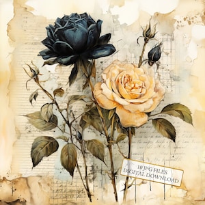 Paquete de imágenes prediseñadas de rosas negras y pálidas sobre letras vintage: 10 archivos JPG de acuarela de alta calidad para decoupage, diario, álbum de recortes y descarga digital.