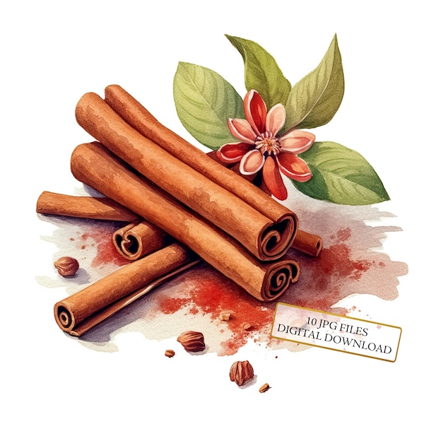 Cinnamon Sticks Clipart Bundle- 10 High Quality Watercolor JPGs- Cooking Art, Journaling, Scrapbook, Digital Download