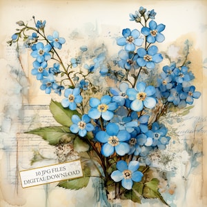Shabby Chic Forget Me Not Paper Clipart Bundle-10 JPG ad acquerello di alta qualità-Decoupage, Journaling, Scrapbook Supply, Download digitale