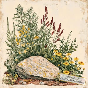 Vintage planten op een rots oud papier clipartbundel-10 hoge kwaliteit aquarel jpg's-decoupage, journaling, plakboek, digitale download