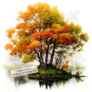 Bundle de cliparts automne érable - 10 JPG aquarelles de haute qualité - Art des saisons, tenue de journal, fournitures de scrapbooking, téléchargement numérique