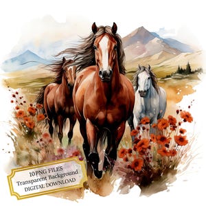 Paquete de imágenes prediseñadas de caballos salvajes en un prado de flores: 10 PNG de acuarela de alta calidad. Imágenes para campo, diario, álbum de recortes y descarga digital.