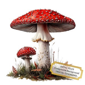 Fly Agaric Mushrooms Clipart Bundle- 10 High Quality Watercolor PNGs- Nature Art, Journaling, Scrapbook Supply, Digital Download