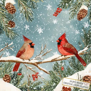 Cardinaux rouges sur branches de pin enneigées Clipart Bundle - 10 JPG aquarelles de haute qualité - hiver, journalisation, fournitures de scrapbooking, téléchargement numérique