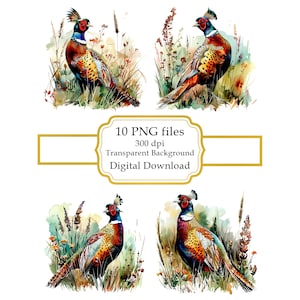 Pheasant in Meadow PNG Clipart Bundle- Digital Download