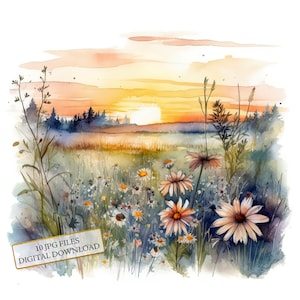 Pacote de clipart de campo de flores silvestres - 10 JPGs de aquarela de alta qualidade - Cottage, arte de prado, diário, material de scrapbook, download digital