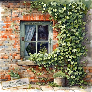 Pacchetto di clipart di edera inglese che cresce vicino a una finestra di un cottage in mattoni - 10 JPG di acquerelli di alta qualità - Artigianato, diario, album di ritagli, download digitale