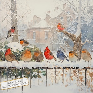 Paquete de imágenes prediseñadas de aves invernales en paisajes nevados: 10 imágenes JPG de acuarela de alta calidad. Ideal para uso estacional, diario, scrapbooking y descarga digital.
