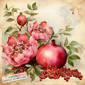 Paquete de imágenes prediseñadas de granada estilo shabby chic: 10 imágenes en acuarela de alta calidad (JPG). Manualidades, scrapbooking, descarga digital.