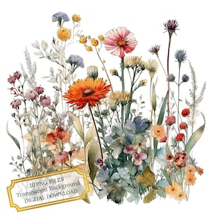 Wildflowers Clipart Bundle- 10 High Quality Watercolor PNGs- Cottage Meadow, Craft, Journaling, Scrapbook Supply, Digital Download