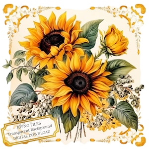 Bundle de cliparts vintage tournesol - 10 PNG aquarelles de haute qualité - découpage, travaux manuels, journalisation indésirable, scrapbooking, téléchargement numérique